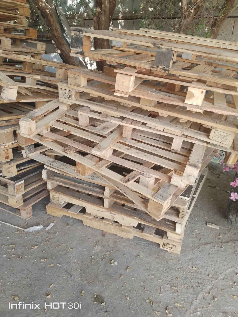 اسكيب امحير العدد 50 الدوره /***********
