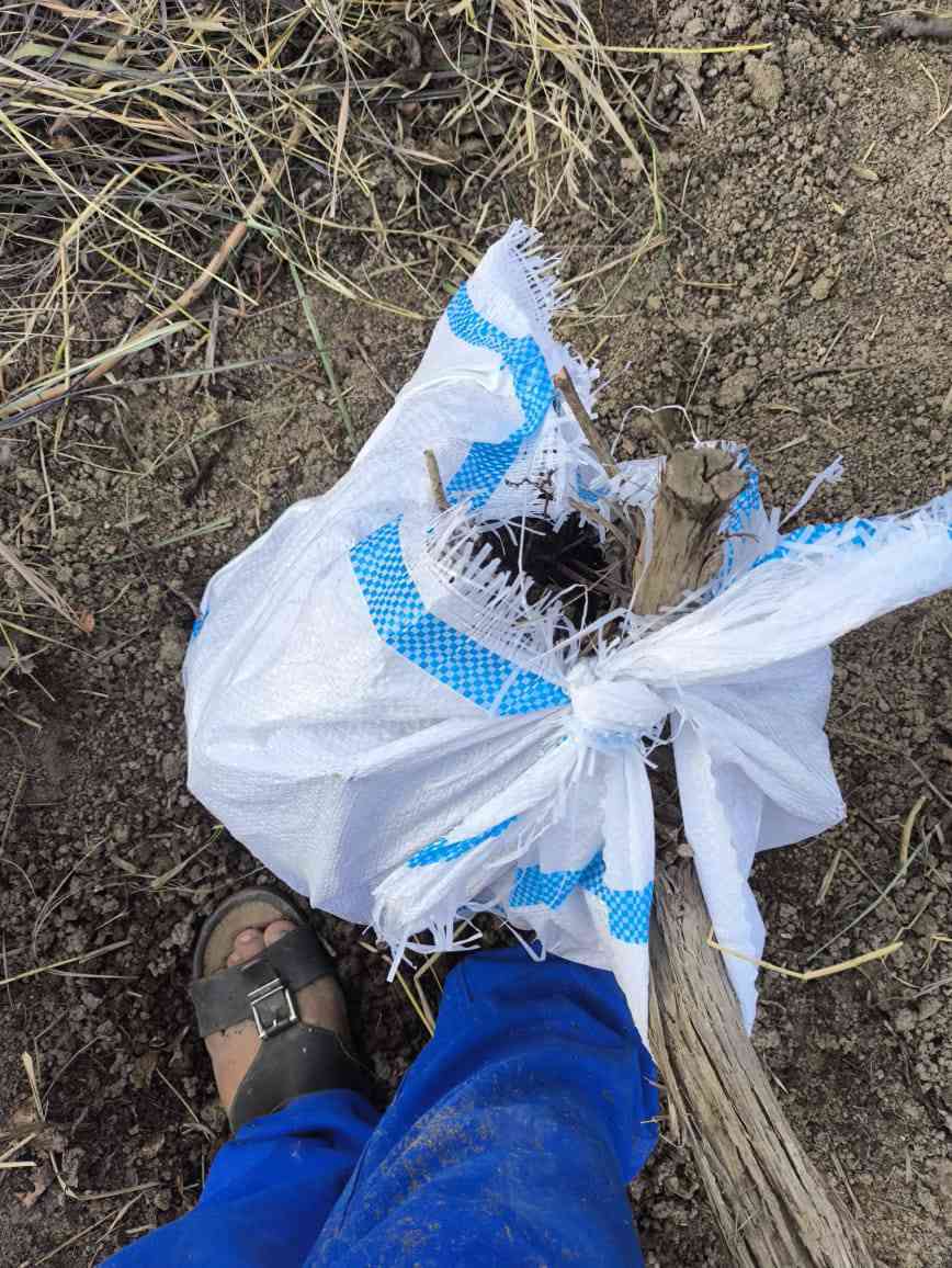 هروش عنب. المحاجير درجه اول
اسود واصفر
سعر الهرش 5 الاف 
رقم الهاتف ***********
