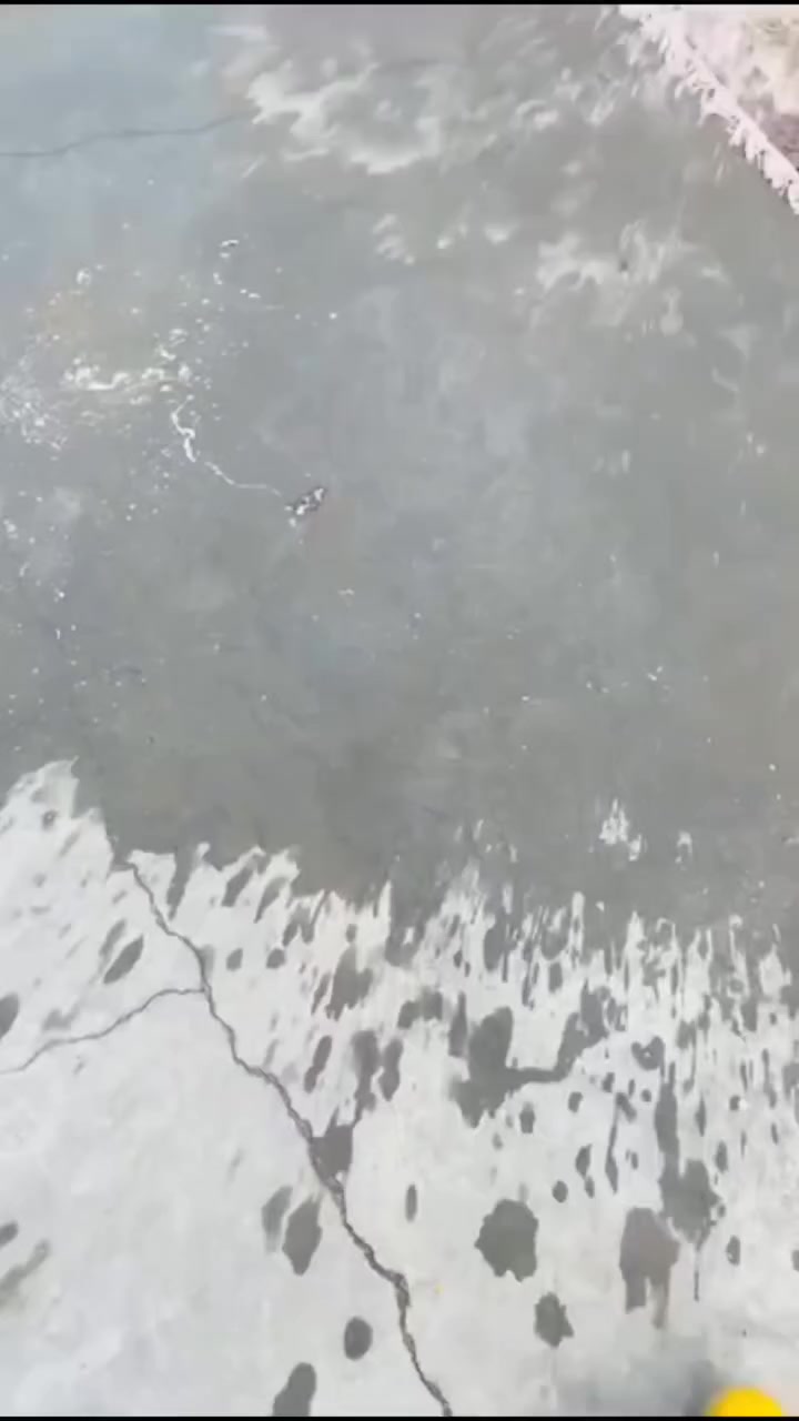 📞 للحجز: ***********
📍 السماوة، حي التاميم، مقابل منطقة الغسل
🚚 توصيل مجاني – تغليف وتعطير مجاني ✨
