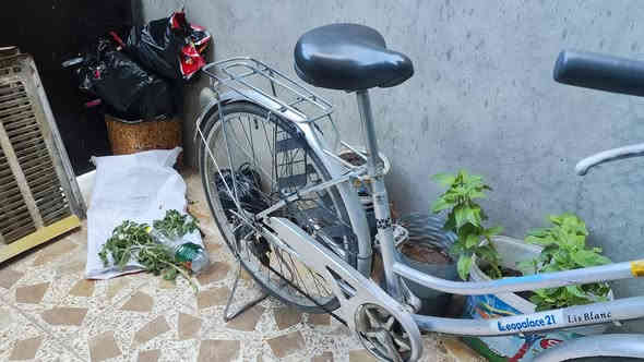 للبيع
عبدالحليم 
حجم 26
بلادي بلكامل 
كلو شغال 
سعر 85 الف
***********
