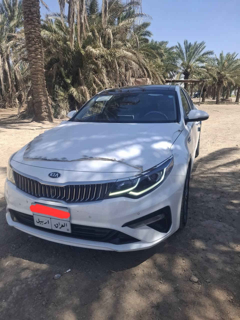 السلام عليكم
قطعه تحفه جديده كلش 
اوبتيما 2020خليجي 

فول مواصفات للاخير اعلى فئة 1/1

بيه جاملغ الامامي الايمن مبدل شركه فقط

ماشيه 90

مكينه 2400 كفاله من الفتح شرط الفحص 
كير كفاله 

حداديه شرط الجداده على وضع الشركه

السبير مانازل

المواصفات فول فول 1/1

دخول ذكي 

بصمه

اناره ترحيب 

تحكم ستيرن جهتين

سقف بني راما طكتين 

شاشه كار بلي 

كامره دواره فول Hd

مثبت سرعه 

شفتات ستيرن 

ثلاث انضمه قياده 

مري شفط 

مري قلاب عند البك

كشن كهرباء 

كشن خزن ميموري 

كشن متحرك تلقائي داينمك

اوتو هولد 

حساس امامي خلفي 

مانع انزلاق 

خمسه ويل كب 

جنطه ذكيه عند الاقتراب 

جام الامامي اوتو 
 

حساس اطارات 

حساس انعطاف 

اي بي اس 

السياره جديده كلش مامتعوبه وعلى ايدي 

احلا من الصور بهواي 

رقم صاحب السياره 
***********
السعر 195 وبيه مجال حك الجيه
