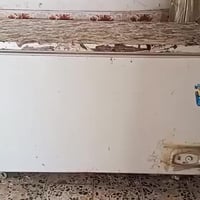 مجمدة • حجم كبير