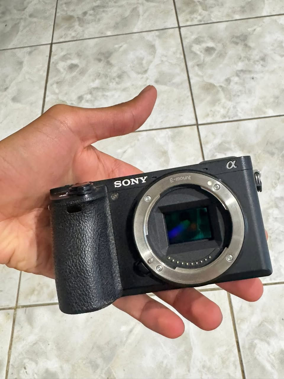 📸 للبيع كاميرا Sony A6500 بحالة ممتازة جداً

الكاميرا نظيفة جداً واستعمال محافظ، شتر فقط 8 آلاف يعني استخدام قليل جداً.
تجي ويا عدسة Sony 18-135mm الأصلية، عدسة ممتازة للتصوير والفيديو والسفر والمناسبات، زوم قوي وجودة حلوة.

✅ Sony A6500
✅ شتر 8K فقط
✅ عدسة 18-135mm
✅ نظيفة جداً
✅ مناسبة للتصوير الاحترافي، الفيديو، المناسبات، السفر، وصناعة المحتوى
✅ فوكس سريع وجودة Sony المعروفة

الكاميرا جاهزة للاستخدام وما تحتاج أي شي.
السعر: اعلى سعر


**إذا كنت صاحب هذا الإعلان وتريد حذفه لأي سبب، رجاءا أرسل رسالة إلى الدعم الفني**