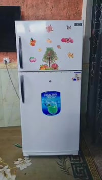 كونكورد لبنانية • ٢٨ قدم • فريز خارجي