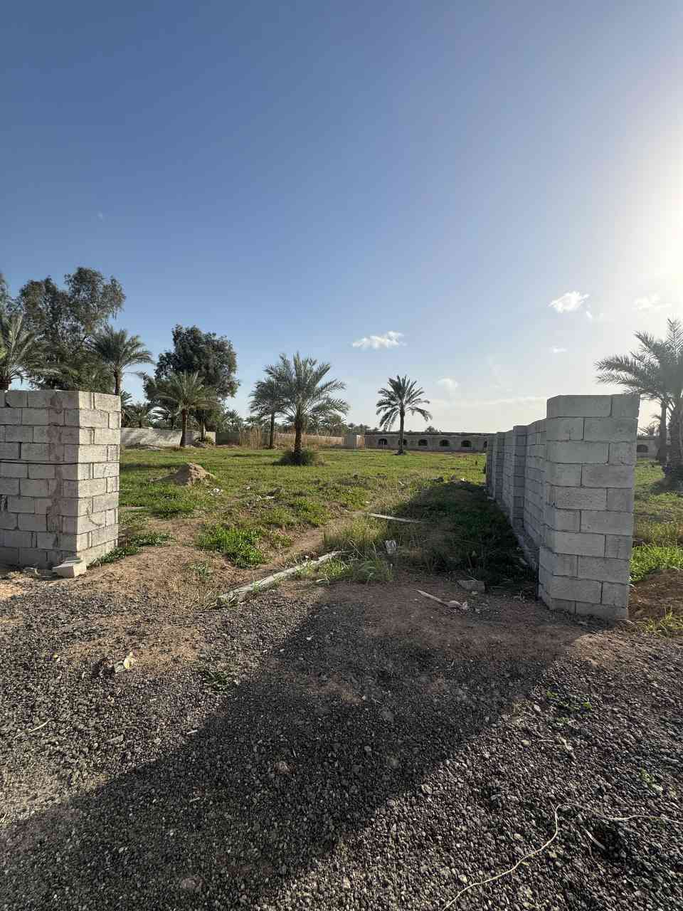 السلام عليكم موجودة عروض من الاراضي الزراعية والسكنية طابو 25 المساحة مختلفة 
يوجد أرض زرعيه طابو 25 المساحة 5 دونم  خدمات كاملة عنوان بغداد المدائن شارع سيد علي 

2-يوجد أرض  طابو ملك صرف  المساحة دونمين متوفرة كافة الخدمات بغداد المدائن منطقة تويثة 

3-يوجد أرض طابو ملك صرف في بغداد المدائن المساحه حسب الطلب 
4-يوجد دونم شاطية عقد 35 متوفرة كافه الخدمات بغداد المدائن منطقة الجعارة 
5 يوجد كافه العروض مزارع جاهزة أرض طابو ملك صرف يوجد عقود 
أي ستفسار اتصل
 ***********
***********
