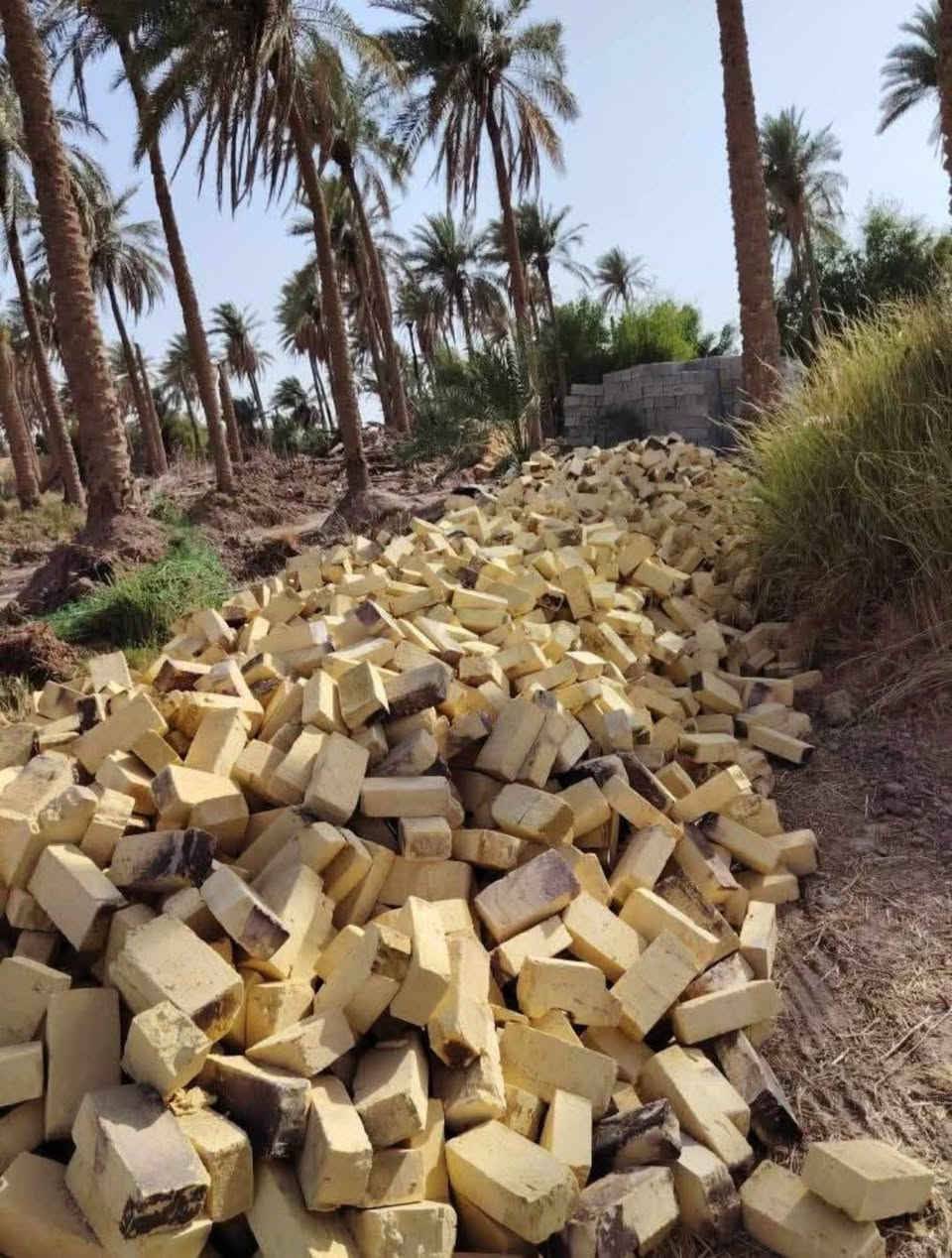 مكتب لبيع الطابوق العادي والجمهوري بأنسب الاسعار خالي من الأملاح يوجد توصيل خلال 24 ساعه (نجف ديوانية سماوه)

***********
