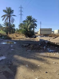 السريدات القديمة • 100م • زراعي سند25