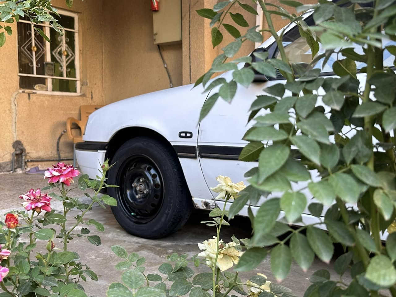 سلام عليــكم….
أوبل فكــترا موديــل92 ((الماني اصـــل))سياره بيها بارد الي مئشر وخياس بلجامرلوغلات قليلات الباقي كفاله عامـــه محرك بلادي مالتها شرط مامفترح1800بس بيها تبخير قليل الكير البلادي كير عادي كفاله مامفتوح السياره كفــاله عامــه من الصبـــغ بدون قطره صبغ السياره ع ايدي من 2004 ولحد الان اني المالك والحائز والمستورد اول بيعه تنباع سياره مال بيت ع ايد وحده السياره ماشيه تقريبا 322 يعني بلنسبه لموديلها شي كلش قليل  السعر 47 وبيها مجال قليل 
مكان السياره بغداد الجزيره السياحيه
هـ***********
