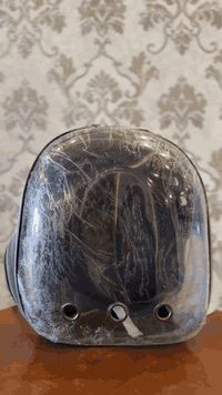 متوفر جنطة قطط وبسعر مناسب 
للاستفسار التواصل مع الرقم
‭٠٧٧٢ ٥٩٨ ٥٣٦٧‬
