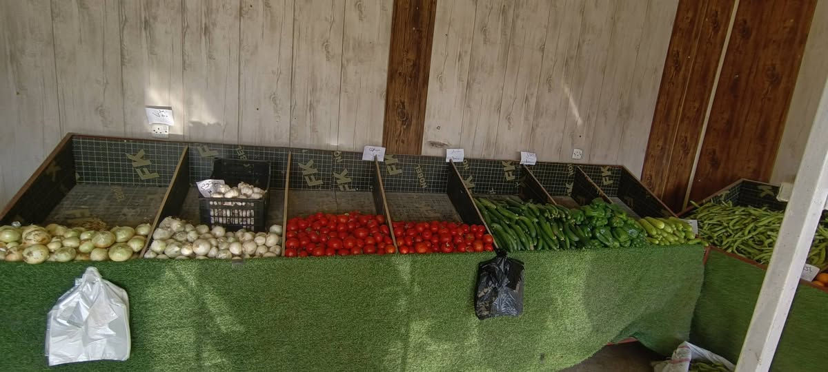 سلام عليكم
شباب مالكم علاقه بلمخضر ...ميوزه علوه أو بسطيه مخضر 
للبيع خمس ميوزه مع رف مقسم..للبيع ..تواصل عله هذا رقم ..***********...متوفر واتساب ...
