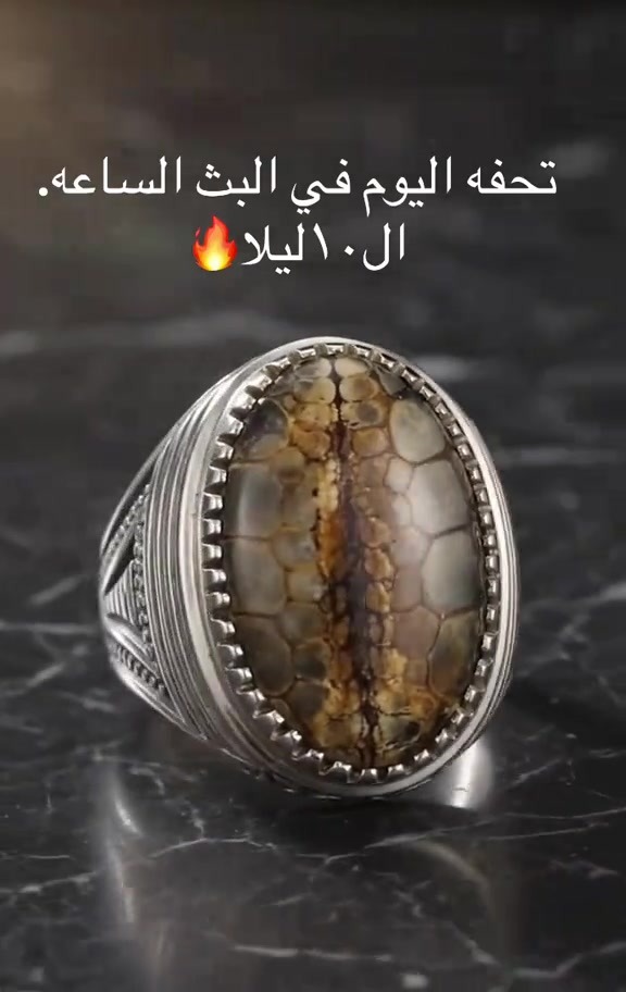 فضة عراقيه حجر سليماني جلد الثعبان النادر


**إذا كنت صاحب هذا الإعلان وتريد حذفه لأي سبب، رجاءا أرسل رسالة إلى الدعم الفني**