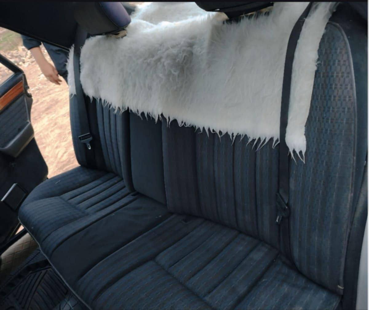 يا الله مار سدس دب كير محرك بلاد 300شرط ان ظافه رقم بغداد دولي بسمي كلشي بيه بلاد فقط صبق عام بودون ضربه  سعر62تخم تاير حداديه ورا وكدام كلشي شرط ترهم مراوس راس الثور حسب النتفاق هذا رقمي ***********
