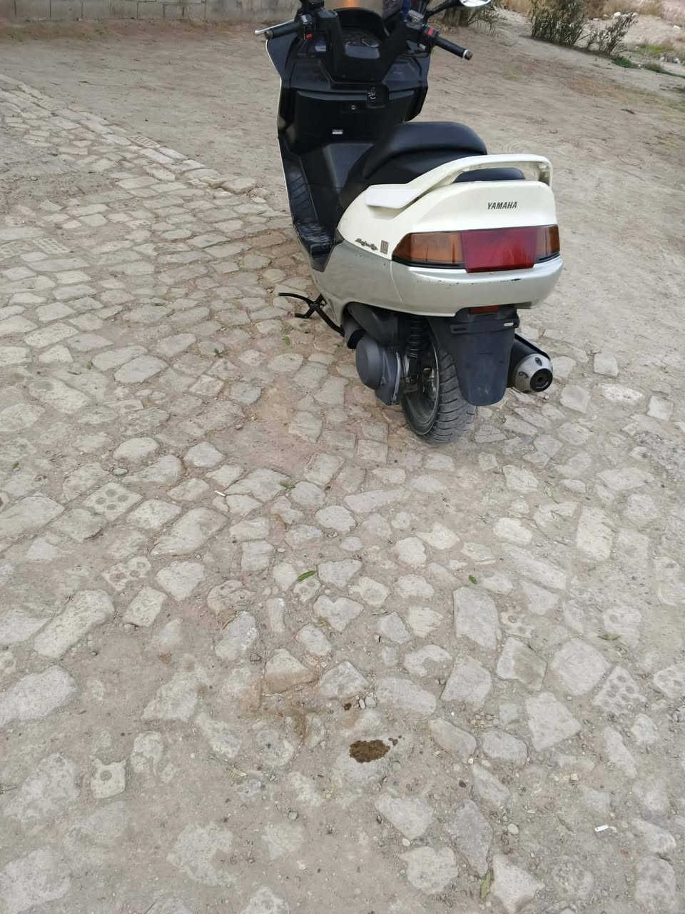 السلام عليكم ماجستى فحل Abs مكينه كهربائيات صدر كله جديد السعر 750 وبيهه مجال التواصل خاص رقم ***********
