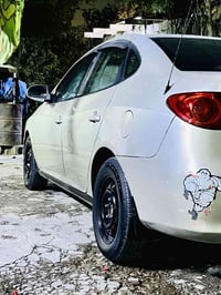 ٢٠٠٧ • وارد امريكي • اسليمانيه