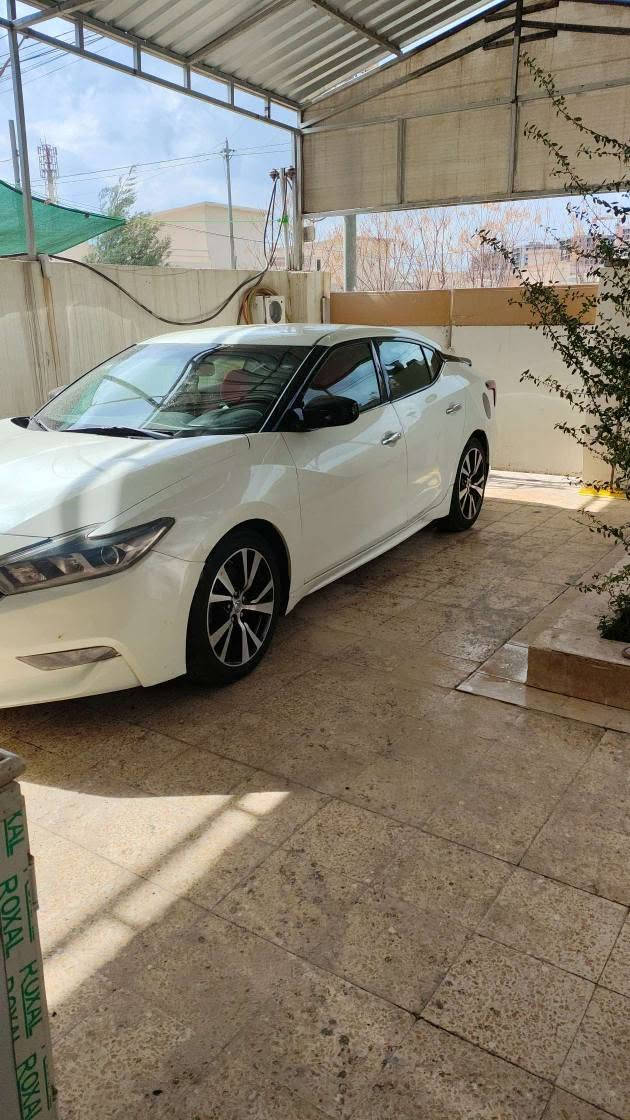 مواسفات SL
کلین داخل بوە بەلام لێرە 3 بارجەی هیا 
بێ داخلی 
سەیارە کە تا بڵێی جوانو رێکە 
کێرو مەکینە کبس 
رقمو زەنەوی تا 2031
بەناوی خۆمە ...
شەخال... جام ئۆتۆیە ...
سبۆرتە..نۆرمالە...
حساسە..دبلگێرە...
فول فولە ...
بس بانۆ راما نیا ...
رقم وتسئاب ... *********** أربيل, العراق
