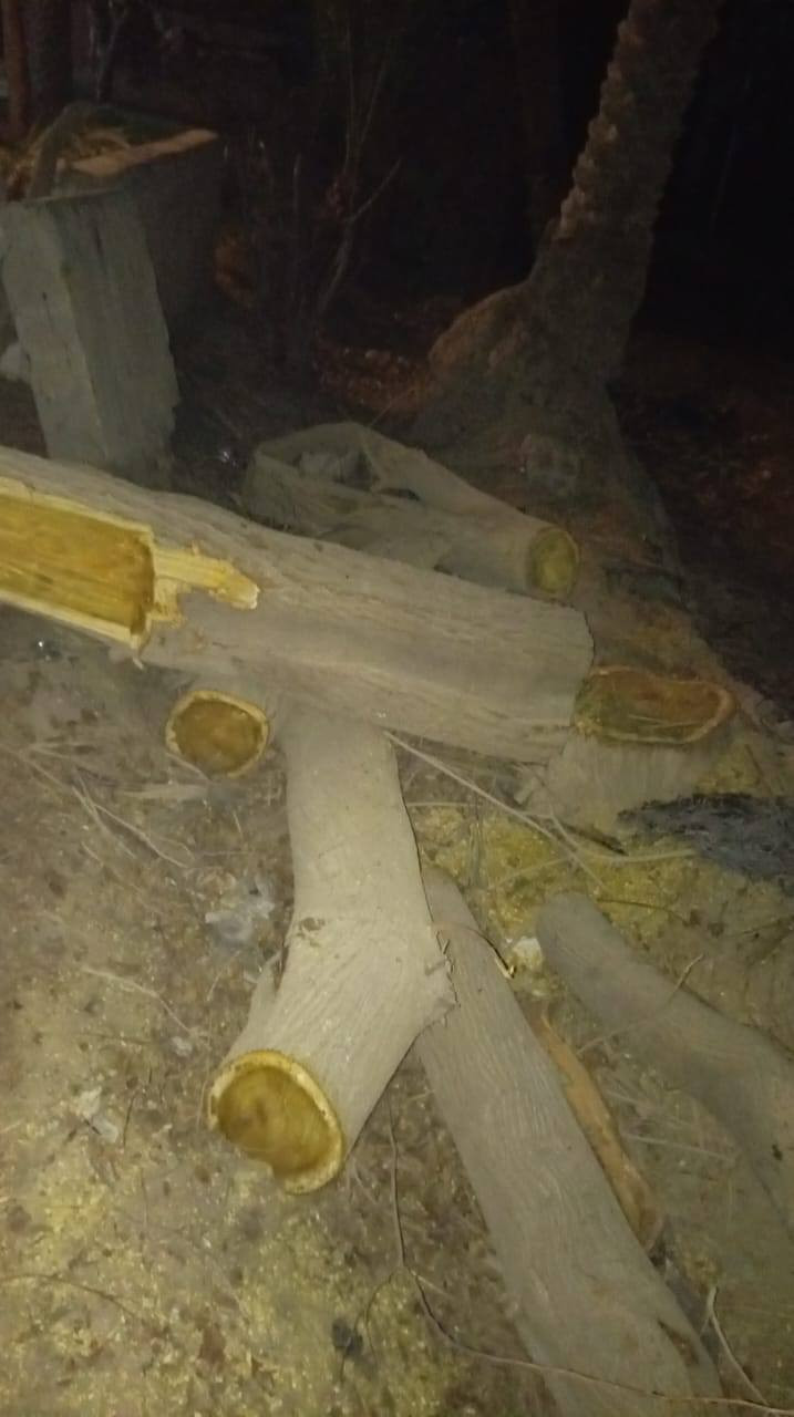 سلام عليكم عندي خشب مو شراي لا يتصل اخوان بيه سياره كامله مكان طلعيه قرب الإمام عون يرده يتصل ***********
