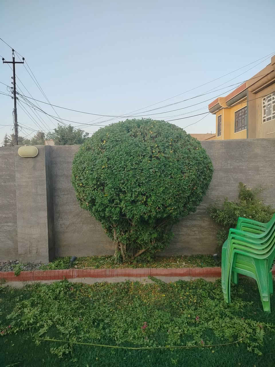 السلام عليكم مع بداية الموسم زراعه وترتيب الحدائق
مستعدون لعمل جميع ديكورات الحدائق وزراعه الزهور والثيل بانسب الأسعار داخل بلد

اتصال على الرقم التالى والاستفسار 

***********
