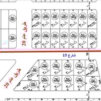 بروانه الشاعي • ٣٠٠م • طابو سند صرف