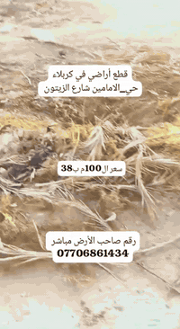 قطع أراضي للبيع | مساحة 100م | الأسعار من 35 إلى 40 مليون
📍 كربلاء_المقدسة
عمود_12 – شارع بغداد سايد الدخول
حي الإمامين – شارع الزيتون
✨ المميزات:
▪️ مشمولة بقرار التطويب
▪️ منطقة سكنية متكاملة الخدمات (ماء، كهرباء، مجاري، )
▪️ موقع ممتاز وقريب من الشارع العام
▪️ مباشر من صاحب الأرض – بدون وسيط
▪️ مناسبة للبناء والسكن أو الاستثمار
📞 للاستفسار والحجز:
***********
#قطع_اراضي_للبيع #اراضي_كربلاء #كربلاء_المقدسة #عمود_12 #شارع_بغداد #سايد_الدخول #حي_الامامين #شارع_الزيتون #اراضي_سكنية #عقارات_كربلاء #استثمار_عقاري #فرصة_ذهبية #تطويب #سند_رسمي #ارض_100م #بيع_وشراء #بيوت_واراضي #عقار_العراق
