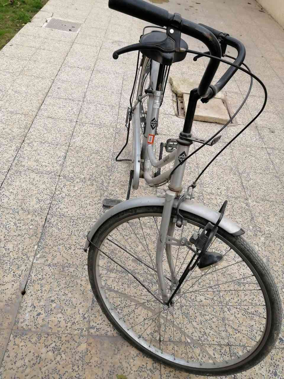 اسلام عليكم بايسكل للبيع حجم 27 بايسكل مال حاويه لون رصاصي نضيف حيل أشكد ما اتكول بس يحتاجله غسله مديل 2016 السعر 90 وبي مجال الاستفسار عن خاص الما يشتري لا يعلق رجا. مراوسه ويا ايفون اكس فما فوق


**إذا كنت صاحب هذا الإعلان وتريد حذفه لأي سبب، رجاءا أرسل رسالة إلى الدعم الفني**