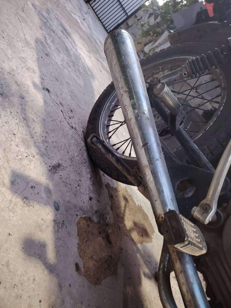 سلام عليكم من رخصت الادمن  صالنصه صوت عالي مراوسه بغير ***********  *********** صالنصه كدام العين صوته واضح
