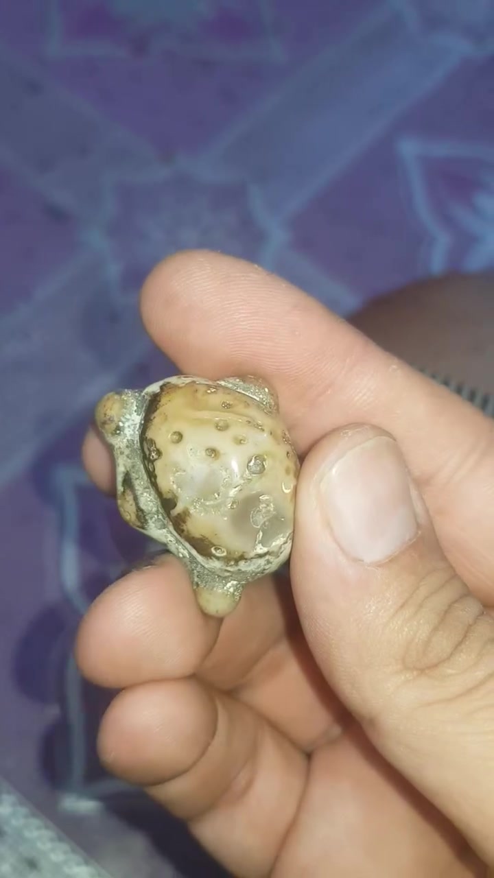 عشغل بس تطيني ضمان يمي هويتك الاصليه قفل ١٥٠ جوكر فساد عنضره


**إذا كنت صاحب هذا الإعلان وتريد حذفه لأي سبب، رجاءا أرسل رسالة إلى الدعم الفني**