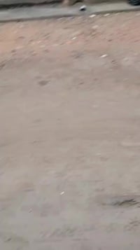 دار للبيع 200 متر طابو زراعي 25 الدار جديد هسه طالع منه الخلفه بناء در...