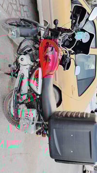 بوكسر 22 • جبلي • رقم إنكليزي