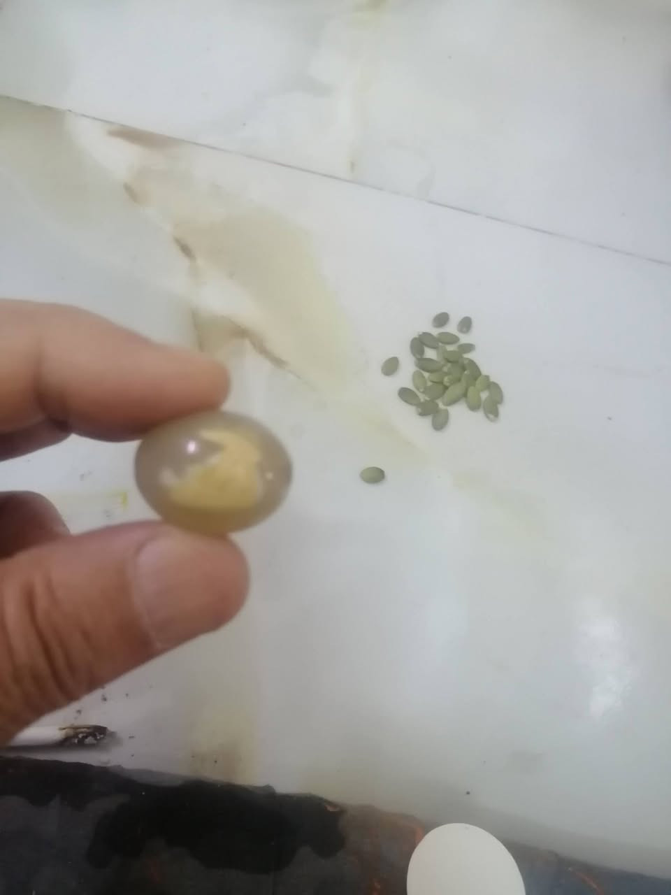 محابس نسائية... ٣ وقلادة... للبيع


**إذا كنت صاحب هذا الإعلان وتريد حذفه لأي سبب، رجاءا أرسل رسالة إلى الدعم الفني**