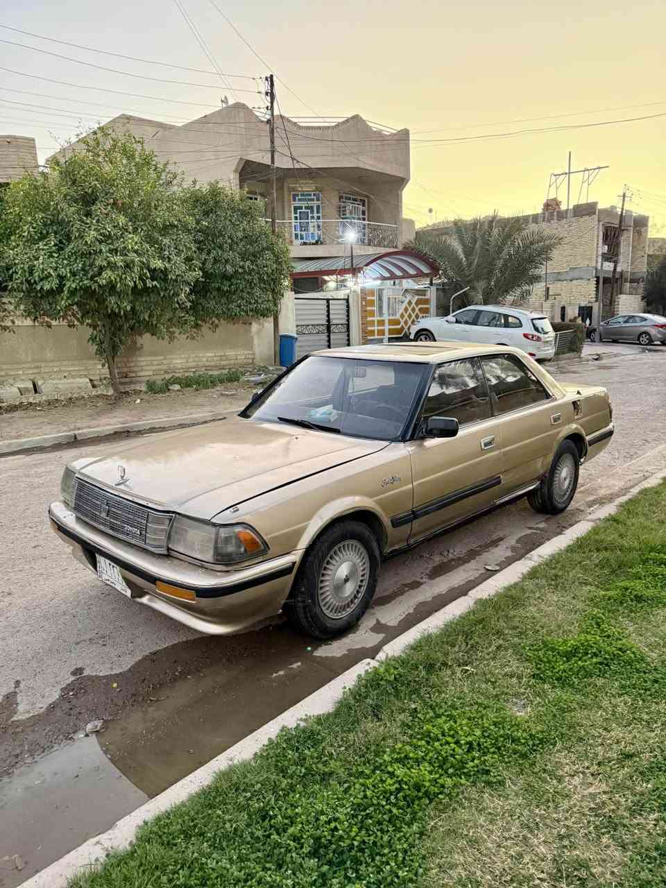 هارتوب بلاد بدون تحوير يسره السياره داخل نضيف كشر نضيف صدر جديد تخم تاير جديد باتري جديد كهربائيات السياره كله شغاله لايت جام 4 كهرباء سياره حلوه بس متروكه سعرها 33 رقمها انبار مشروع وطني ب اسمي شررط التحويل مكاني بغداد حي جامعه خضراء *********** بغداد, العراق
