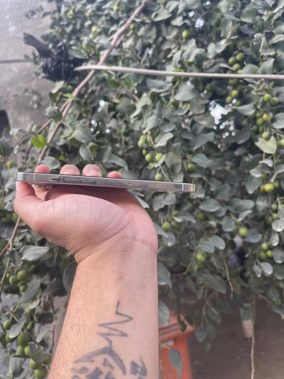 ايفون 12برو ماكس امريكي ذاكـره  /512
البطاريه ٨٠ ببلاديه

عندك فقط الكامره الكامره ٢.٥واكفه بسبب تحديث وال ١x

شغاله طبيعي كامرته تخبل 

تليفون امانة الله مال بيت  ملاحظه تليفون غير داخل صيانه 

افحص وين متريد 

سعره ٥٥٠ وابي مجال بسيط مكاني بابل رقم الهاتف ***********
