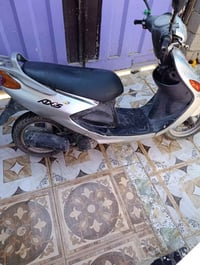 اكزز • فحل • كهربائيات