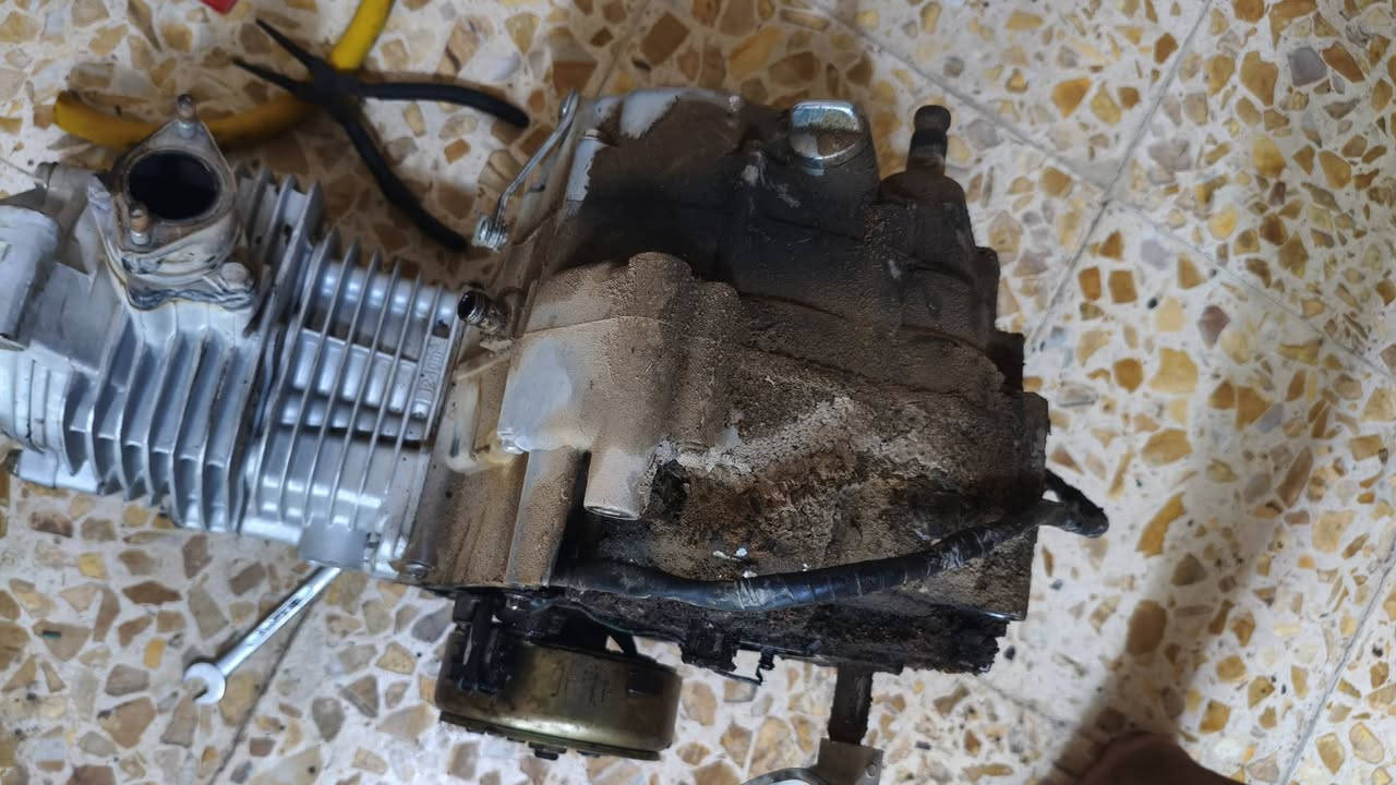 السلام عليكم محرك اربع كير شغال بي صوت بيع ع هاي وضعيه ريده ب50 بي مجال مكاني نجف حي ميلاد الي حب تراسل وياي دخل خاص بس شرار موشراي لا دراسل


**إذا كنت صاحب هذا الإعلان وتريد حذفه لأي سبب، رجاءا أرسل رسالة إلى الدعم الفني**