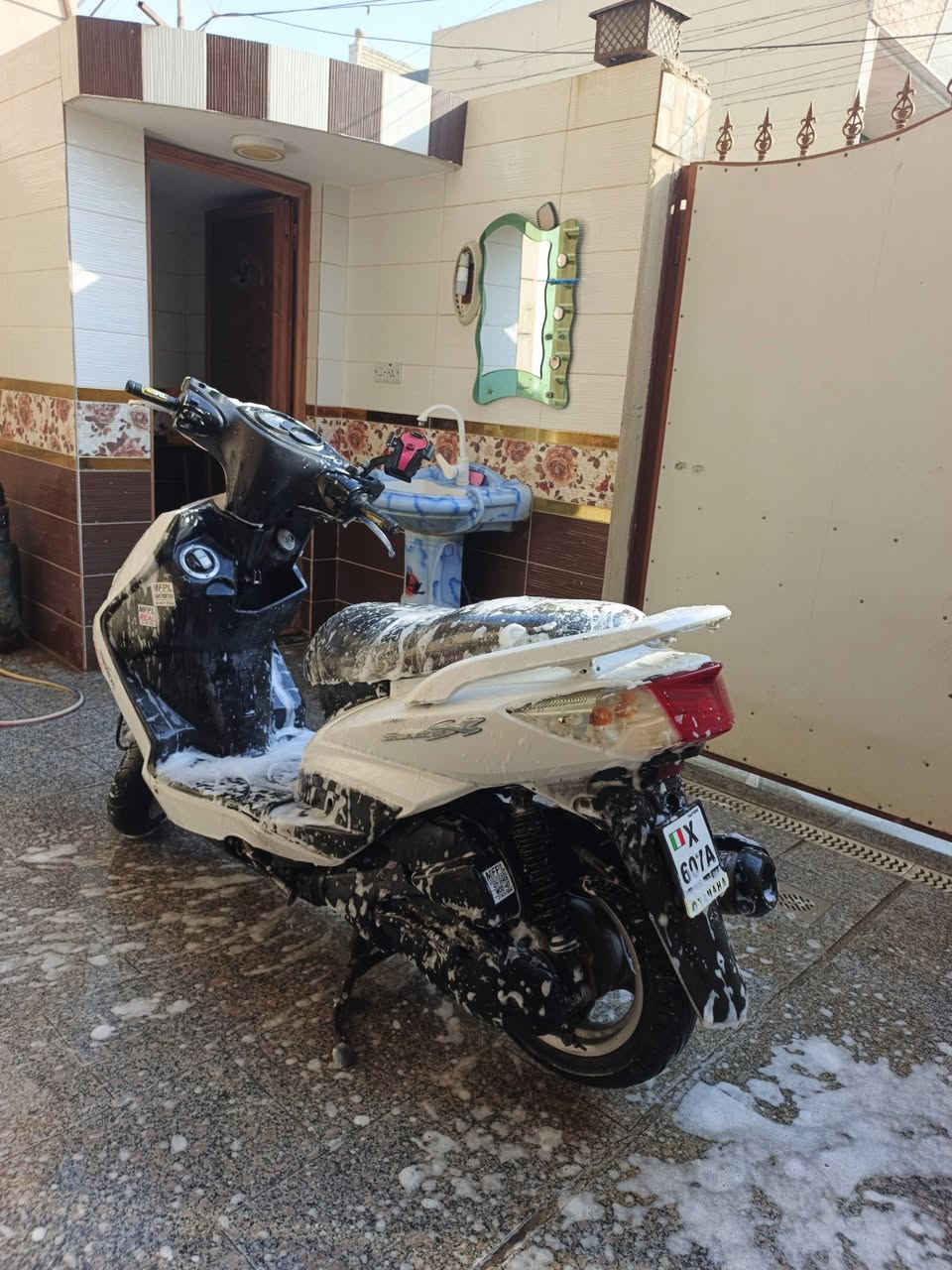 سكنس فحل ياباني 140
نوزل خطين مكينة ما مفتوحة نضيفة ممشاهة 41 كلهة شغالة اي نقص مابيهة تاير خلفي جديد نوزل فيتبم جدد اي نقص مابيهة سعر 600 وبيهة مجال مكان بغداد العبيدي
رقم ***********
