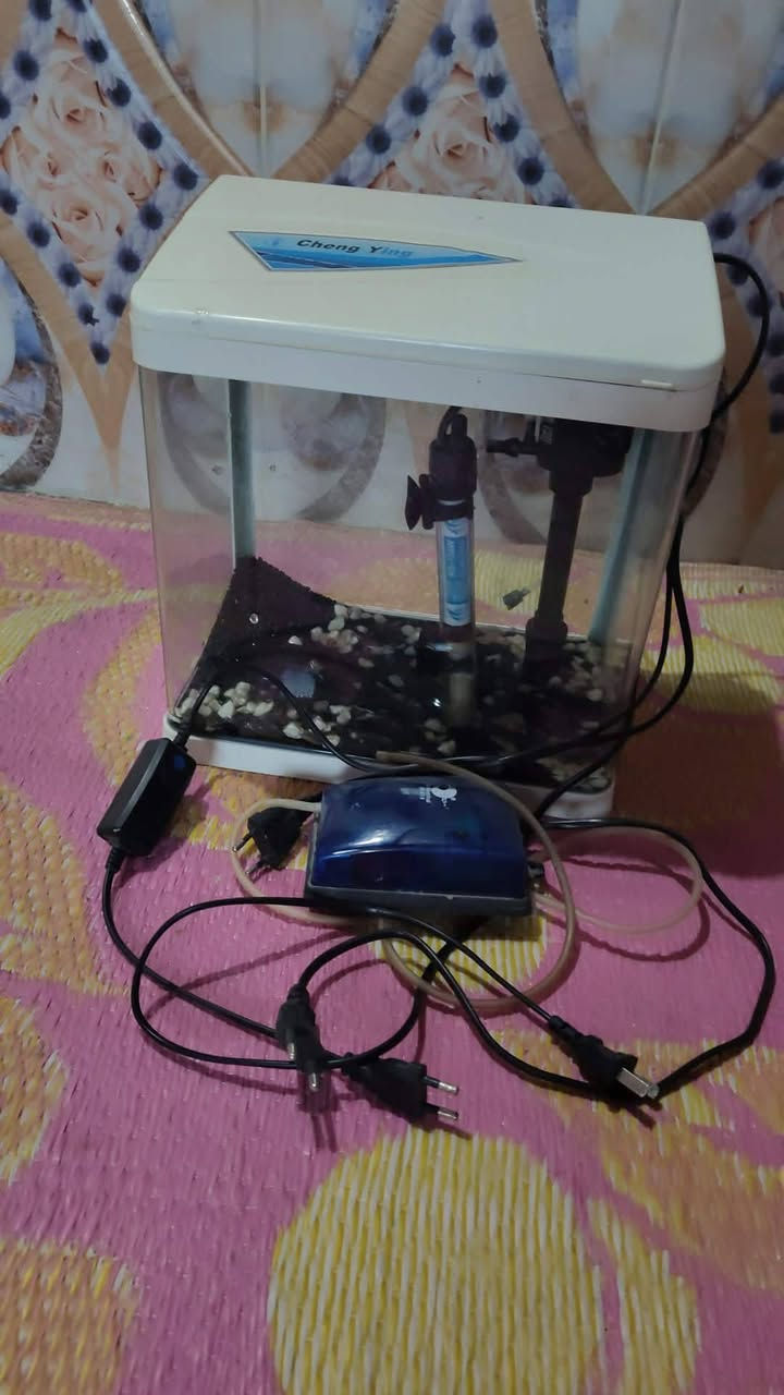 احواض اسماك كامله
تردهن شلع تريد واحد 
المكان طوريج ام الهوى 
***********
