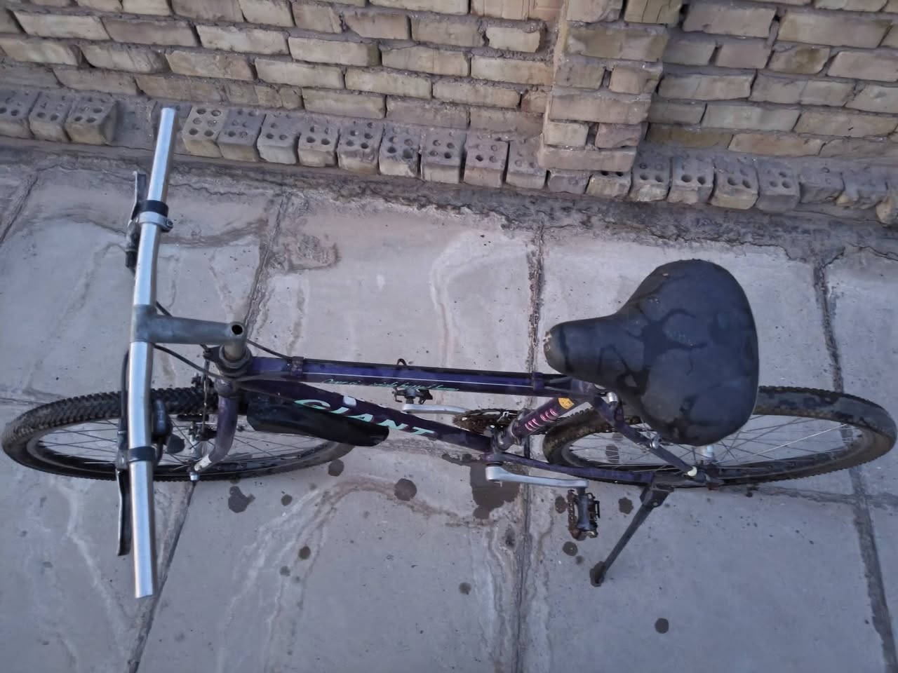 للبيع.. عوزة ترتيب السعر 90


**إذا كنت صاحب هذا الإعلان وتريد حذفه لأي سبب، رجاءا أرسل رسالة إلى الدعم الفني**