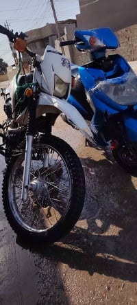 قفاز • سكنس