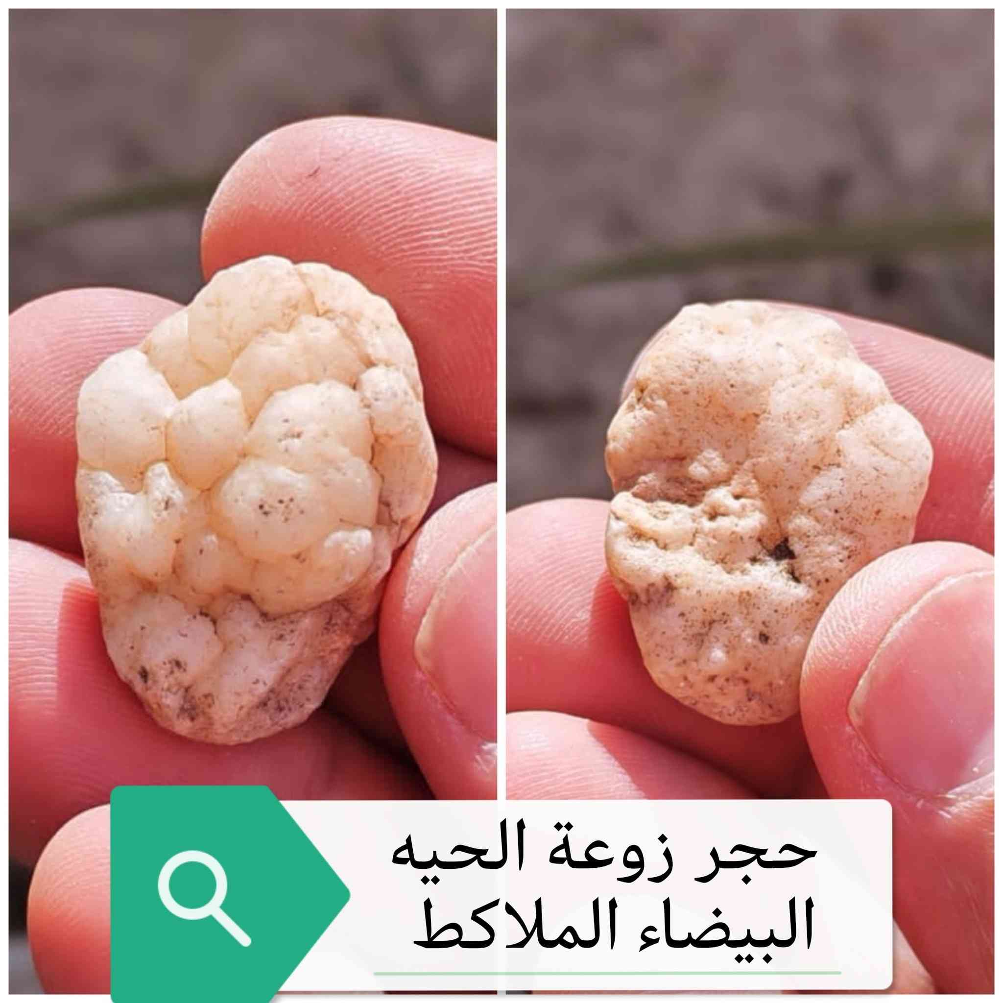 احجار ملاكط متنوعه


**إذا كنت صاحب هذا الإعلان وتريد حذفه لأي سبب، رجاءا أرسل رسالة إلى الدعم الفني**