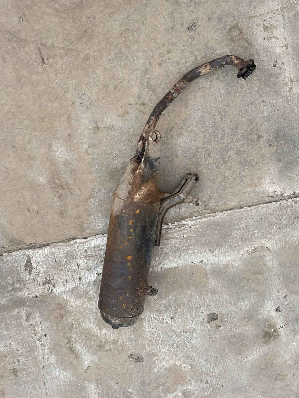 أعطي سعر اخذ ما راح اكض وياه واحد
الاستفسار ***********مستعحل على بعيتهن كلش
