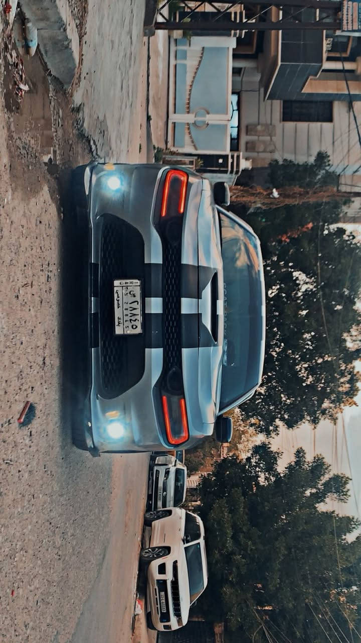 السلام عليكم 
جارجر 2015 SXT شاشة كبيره و الباقي معروف 
داخلة كلين بيها باب كلير + حادث بسيط خلف الدعامية الامامية باقي السياره بدون صبغ فقط الكلير قطعة وحده 
تحديث كت كامل SRT داخل وخارج كما موضح بالصور 
حدادية امامي خلفي جديد 
ادامة كاملة للسياره 
منضومة احتراق بلكات نوزلات فيتبم مع القاعدة والمساعد 
تخم تاير جديد
باتري جديد 
ويل 20 
سياره مابيها مصرف دينار 
بغداد بسمي 
*********** رقمي 
السعر 165 بيها مجال بسيط 
الموقع بغداد الكاظمية
