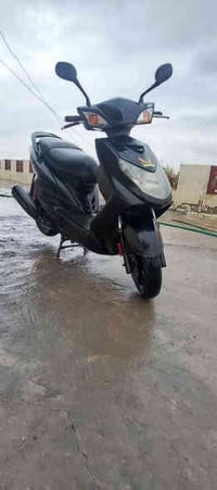 سكنس فحل للبيع شرط نضافه فول تحريكه ومعدل نار   اي استفسار اتصل على ال...