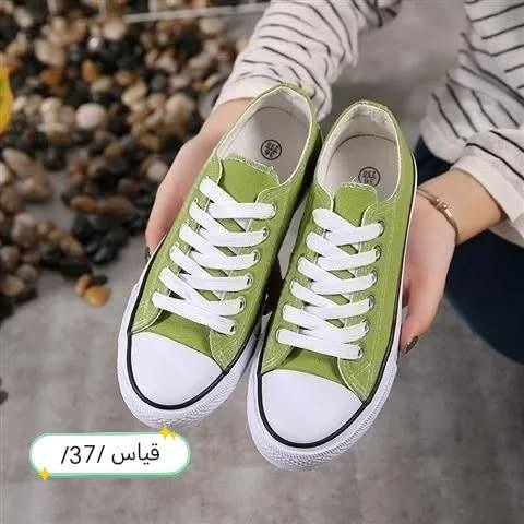 للأستفسار الاتصال ع الرقم او مراسلة الرقم التالي .
*********** والأسعار تنـافسية 🔥#لايك @إشارة
