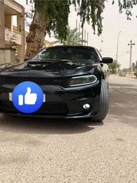 بنيد • دعاميات امامي وخلفي • مراوس SXT