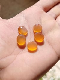 عقيق • وجبة اليمن • خناصر