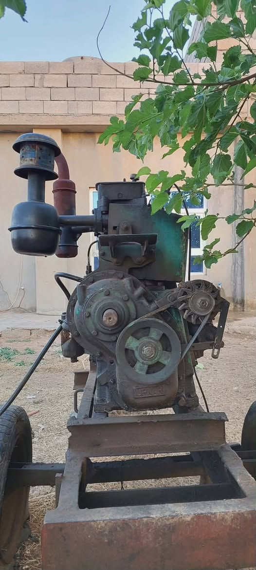 سلام عليكم مولده ابل سلف مكان سهل نينوى بعشيقه دوبردان سعر 600 ألف رقم موبايل ***********
