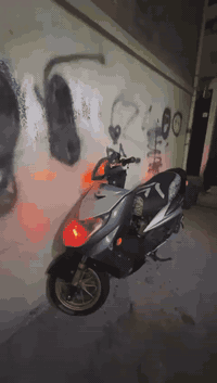 سلام عليكم سكنس فحل نوزل طلاعات
دراجه بلاديه ممفتوحه دراجه قويهه 
تجي وشوف شوفت عينك جيب ١٠ فيتريه مكينه اكفلها الك لاصوت لانضوح لاتبخير 
تزويد البيها كلجات wf امامي خلفي 
فراك بريك قطره اكسل 
يدات رياضي 
ويل رياضي وفلنجه 
وفج وتطواله وملقلط 
وماصده عين شيطان 
ستناد صفح 
شاير وبك لايت مشمي 
دبلات امامي خلفي رياضي 
صولنصه بوري عدل وزه دراجه مشالله تاخذها وخطيتك بركبتي اكفلها الك من كلشي انطيك نقص بيها حتا متجيني واتعبك قبق بانزين تريشه وسبعه جوه الكشن مابيها غير ذني دراجه كلش قويه تجي وشوف بعينك سعرها 900وبيها مجال لطيبين بس بدون كسران ماجاوب ع خاص ادخلي واتس خاص شلع عيوني رقمي ***********
