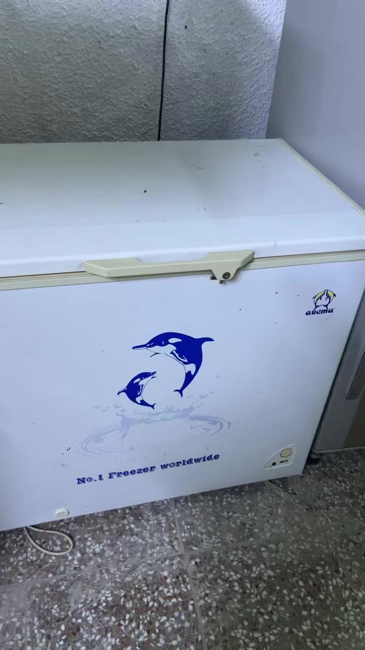 مجمده 12قدم ع فحص تجميد خير من الله 175الف بغداد المشتل


**إذا كنت صاحب هذا الإعلان وتريد حذفه لأي سبب، رجاءا أرسل رسالة إلى الدعم الفني**