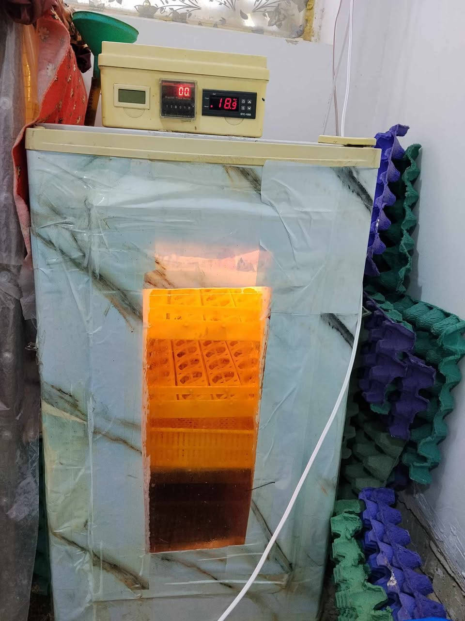 السلام عليكم فقاسه للبيع المكان كربلاء طويرج ام روايه  السعر 150 وبيه مجال


**إذا كنت صاحب هذا الإعلان وتريد حذفه لأي سبب، رجاءا أرسل رسالة إلى الدعم الفني**