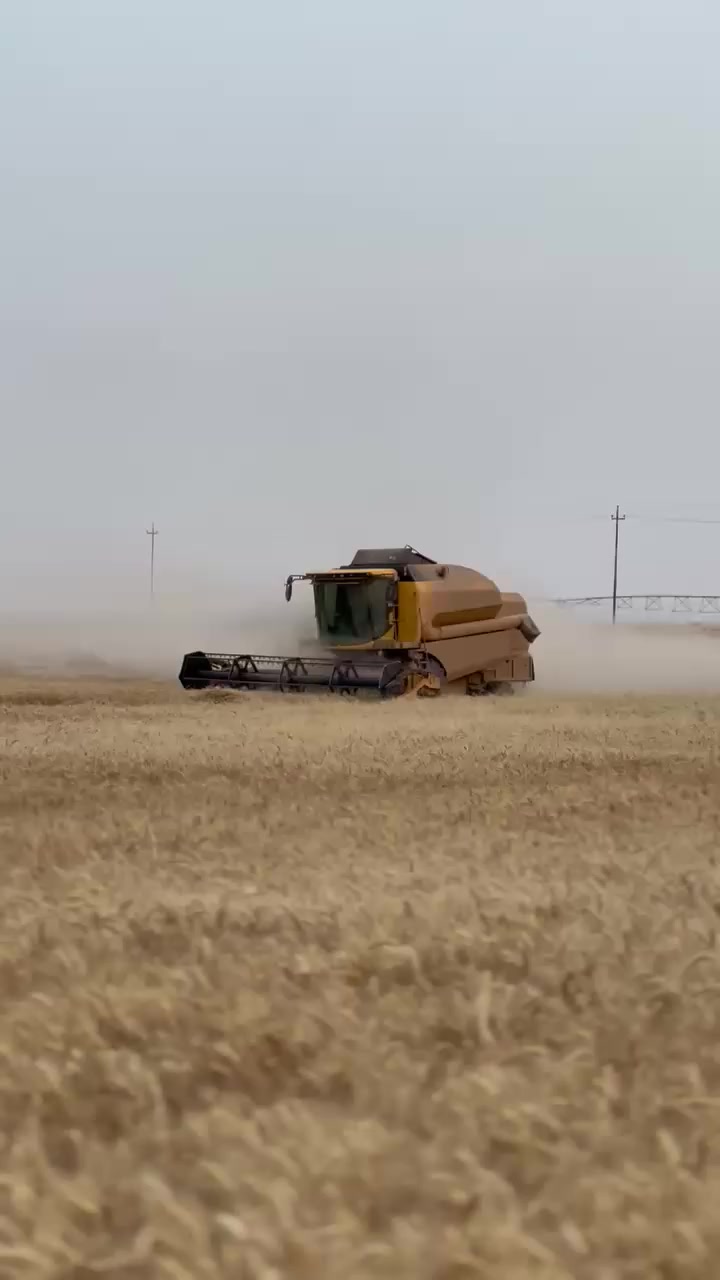 السلام عليكم حاصدة للبيع موديل 2020
خمسة بلم اوربي فول مواصفات حجم 5.90  للاستفسار الاتصال برقم ***********
