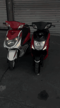 سلام عليكم
سكنس لد ياباني للبيع
الدراجه قبل شهر نازله رمبه
ماشيه 61000
جيب خمسين فيتر وياك وتعال
اكفلك المكينه من الفتح
كهرباءيات كلها شغاله شرط زلغ بالواير ماكو والدراجه خير من الله صافيه مثل الساعه سلف وهندر
الدراجه بيها ملاحضات بسيطه كلش بالكشر الخارجي من تخابرني افهمك عليهن
واليجيني مارجعه
 مكاني (شارع فلسطين قرب النادي التركماني)
السعر المطلوب (مليون و300) وبيها مجال آسف على الأطاله
(الهاتف) ***********
